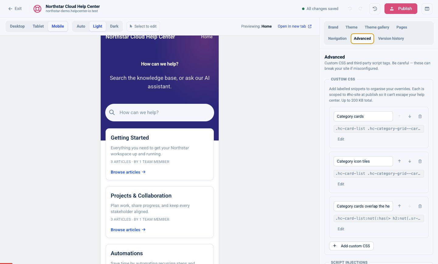 Advanced panel with labelled Custom CSS snippets and script-injection controls